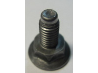 Carriage Screws